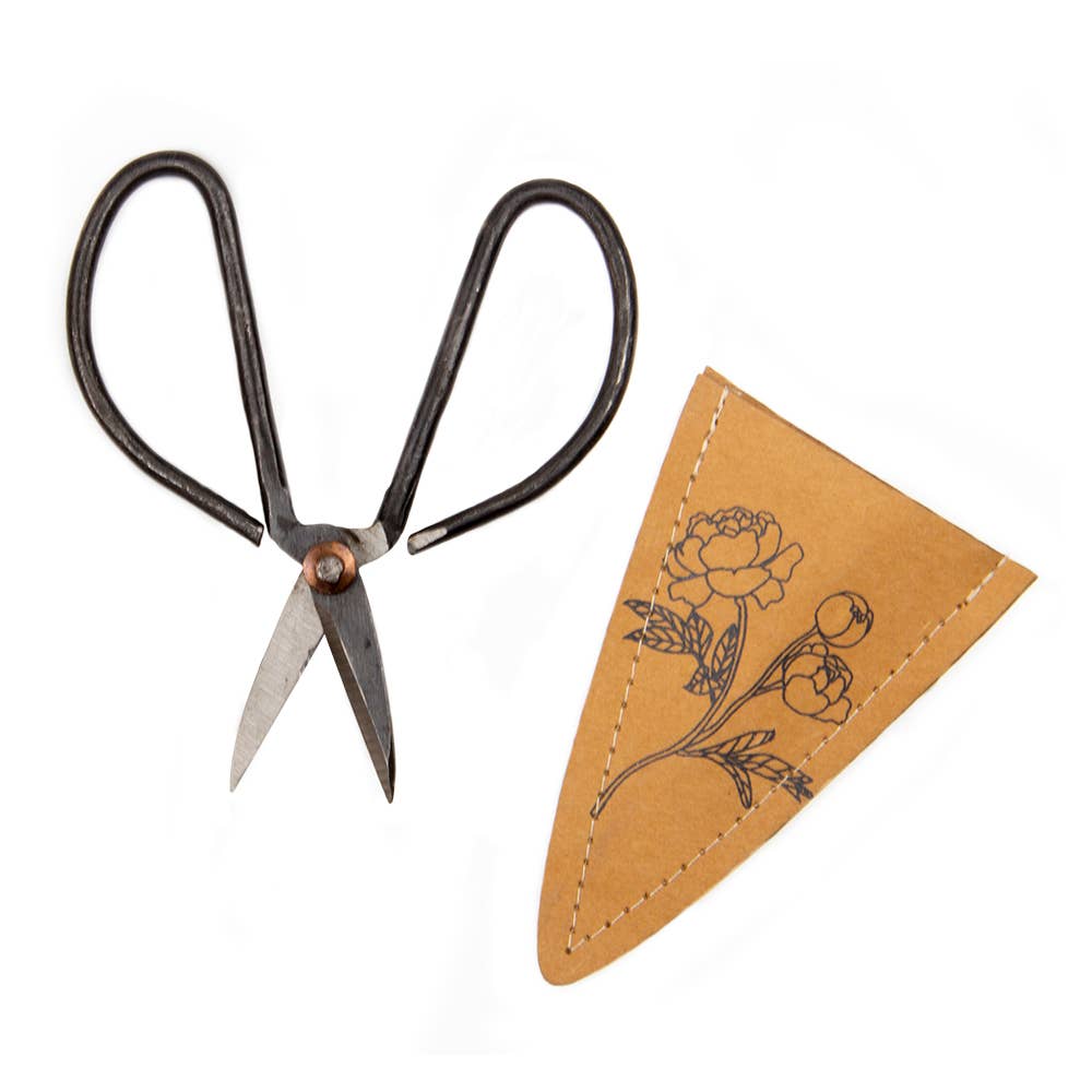 Edward Plant Scissors/ Gardening
Plant Accessories