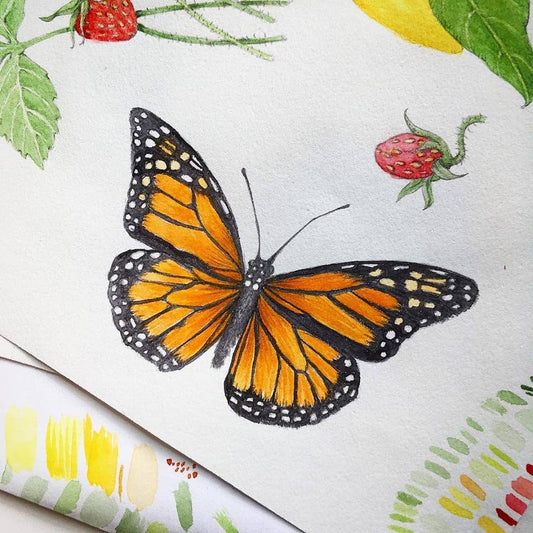 Garden Sprinkles | Butterfly Habitat Flower Garden | Spring