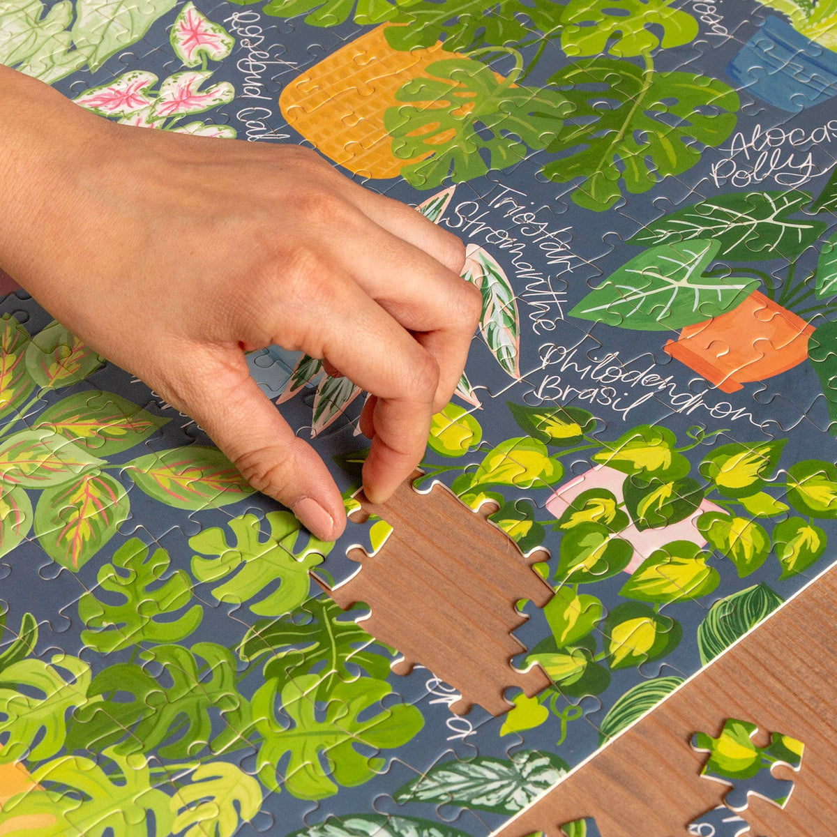 Houseplant Jungle - 500 Piece Jigsaw Puzzle