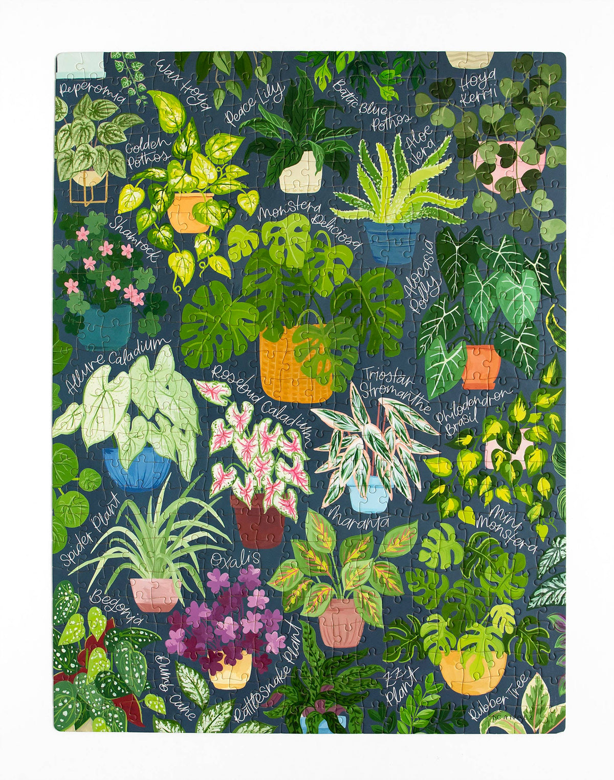 Houseplant Jungle - 500 Piece Jigsaw Puzzle