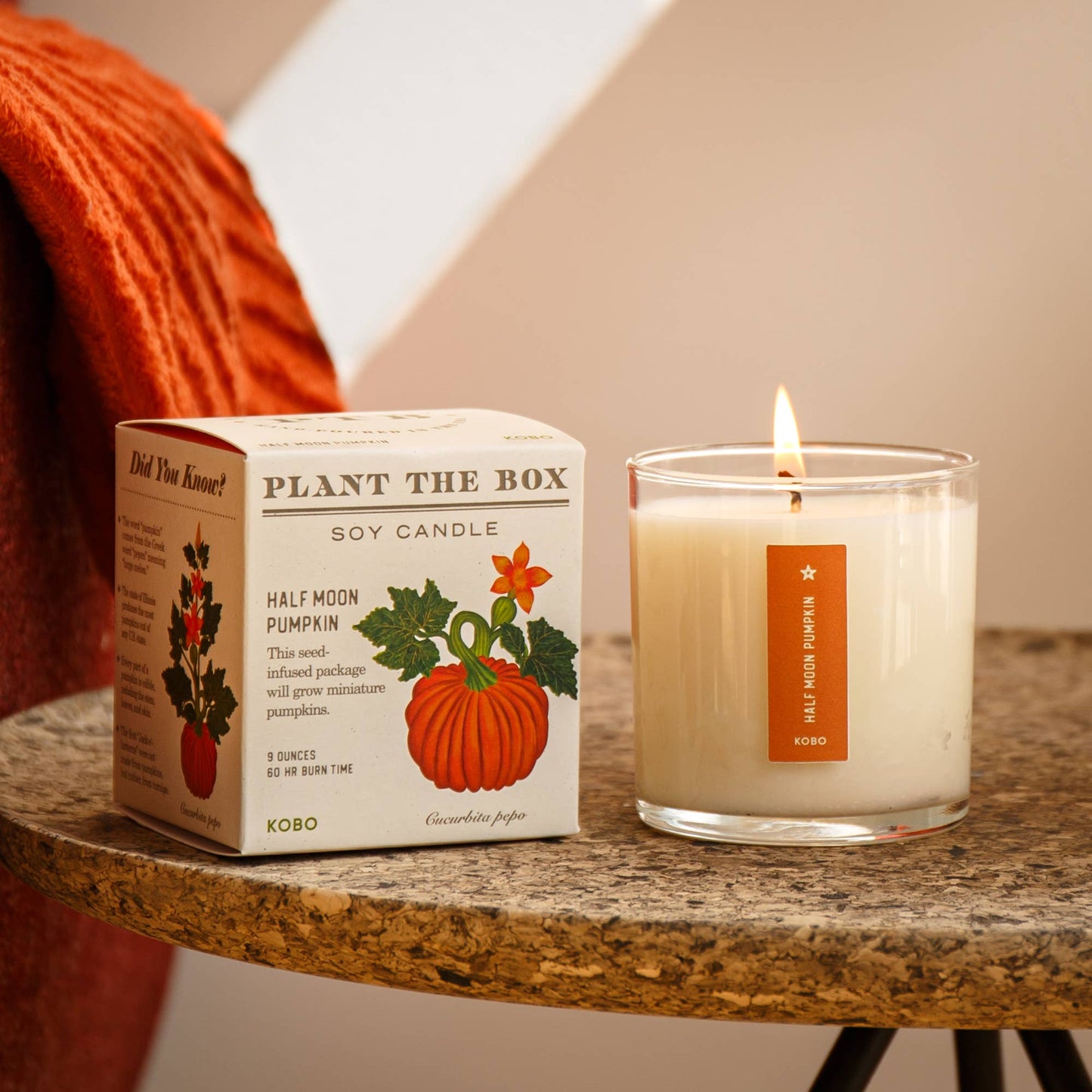 Half Moon Pumpkin - Plant the Box Candle - 9oz.