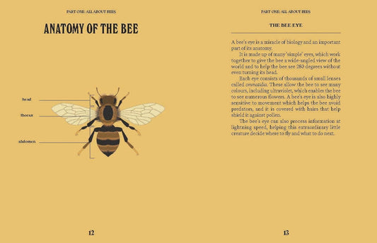 Bees
