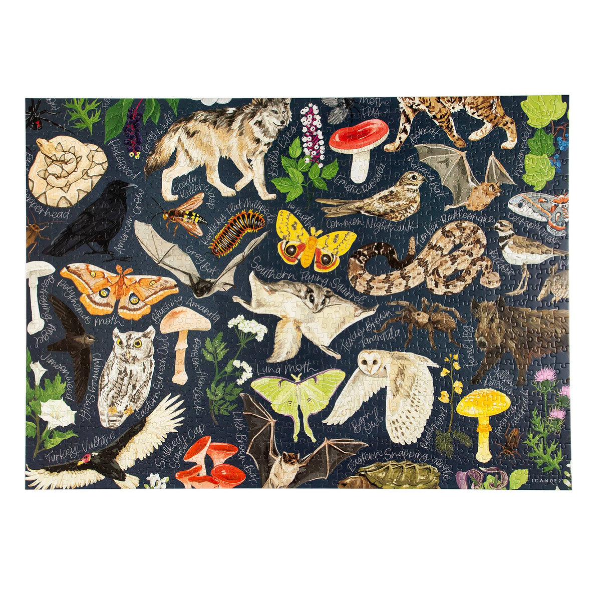 Midnight Flora & Fauna - 1000 Piece Jigsaw Puzzle