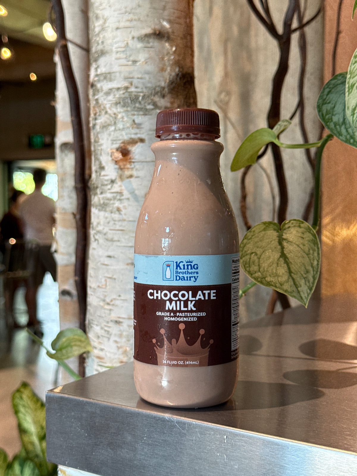 Chocolate milk – King Brother Dairy 