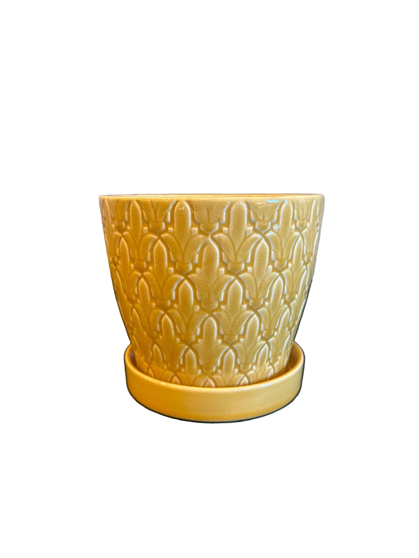 Steeple Chase Matte Gold Pot