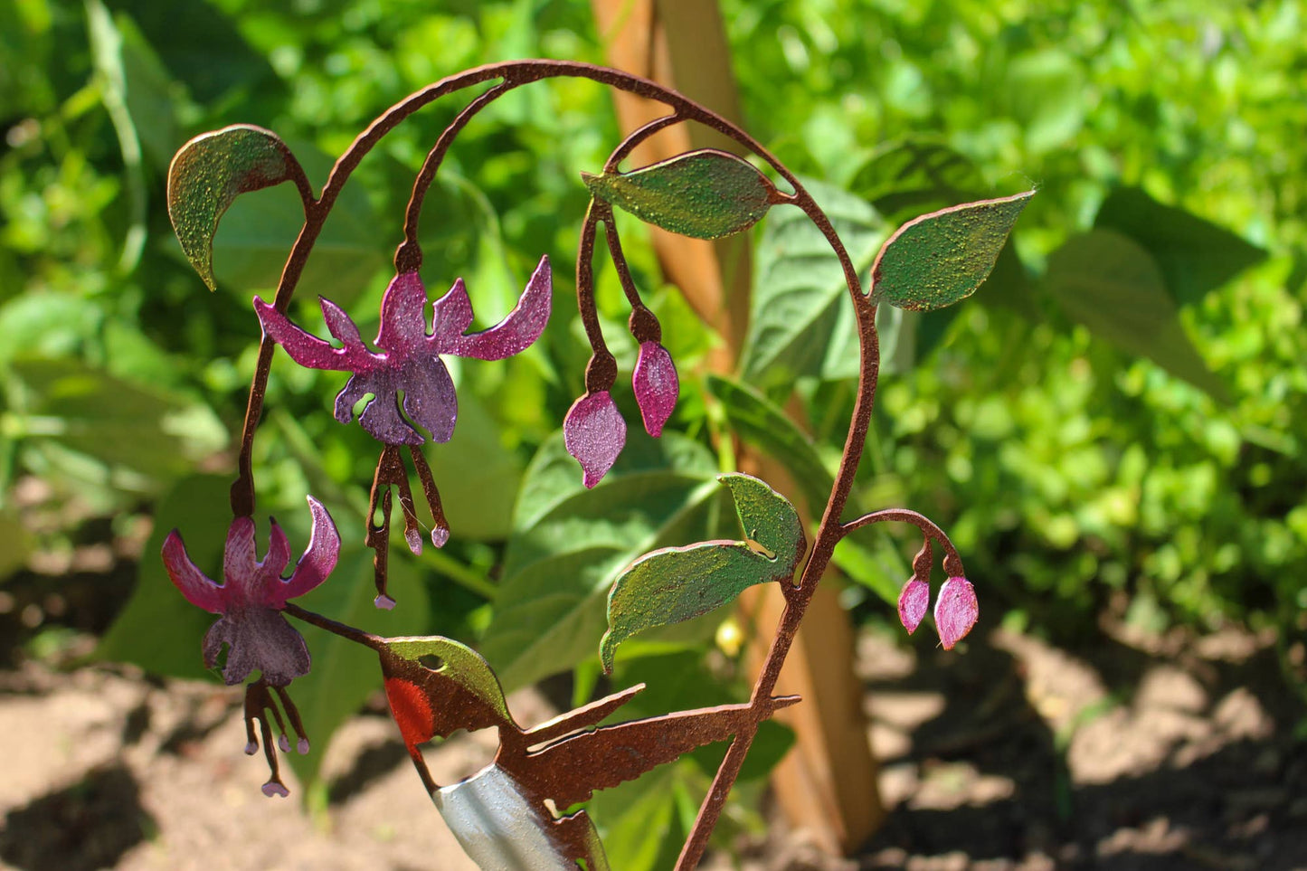Hummingbird on Fuchsia Pick -Painted