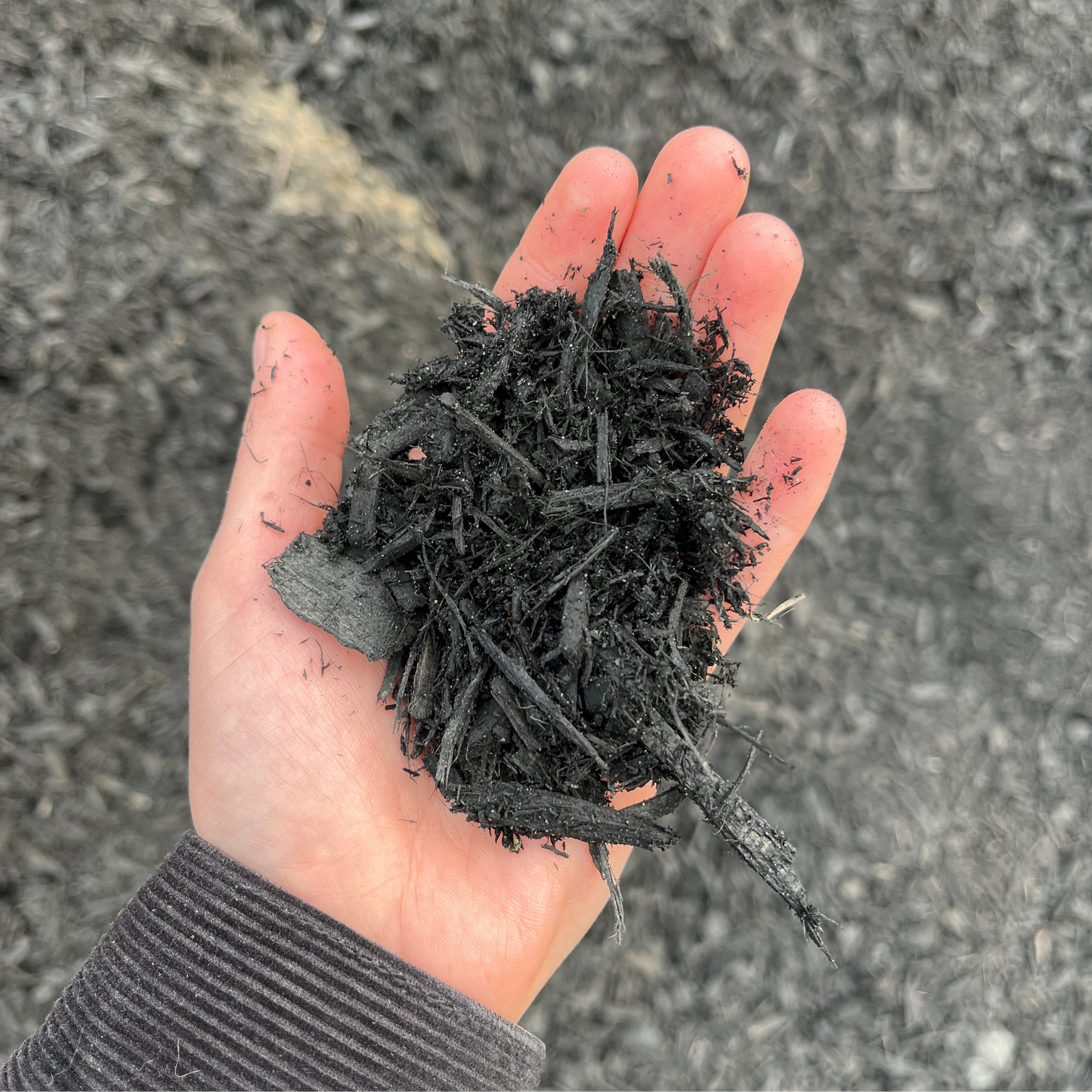 All Natural Black Dyed Mulch