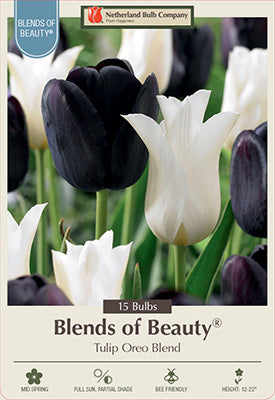 Oreo Tulip Blend