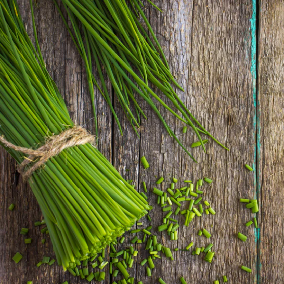 Chive - Herb Seeds