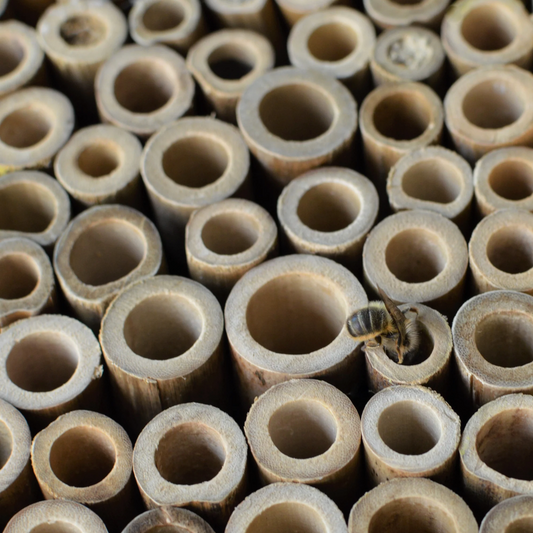 Farmhouse Bee Barn - Save the Native Bees!