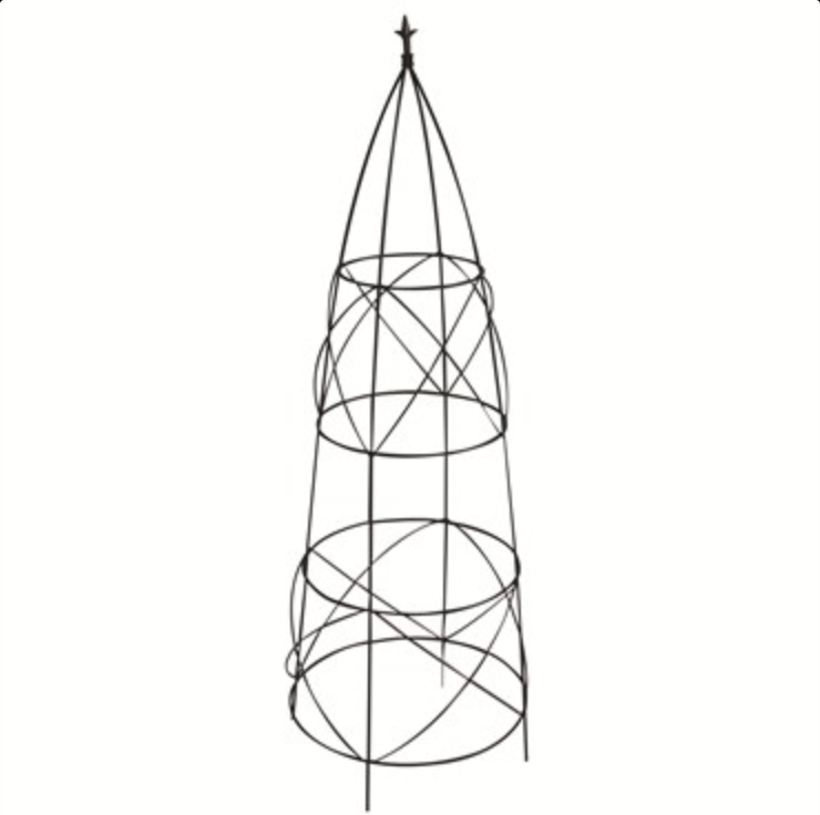 Obelisk - Climbing Plant Support
