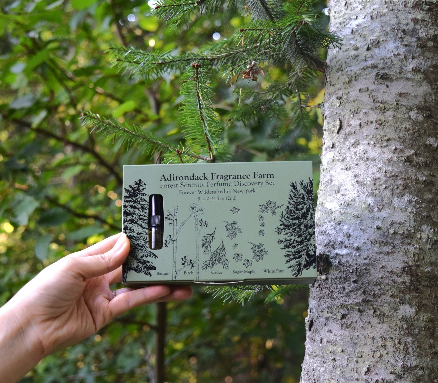 Forest Serenity Perfume Spray Discovery Set 0.07 oz x 5