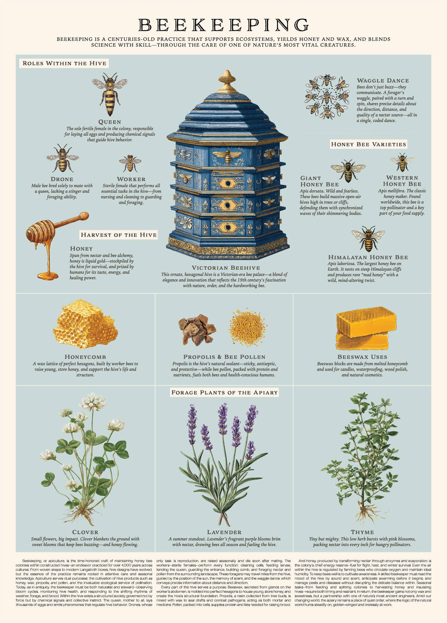Vintage Posters Wrapping Paper - Beekeeping