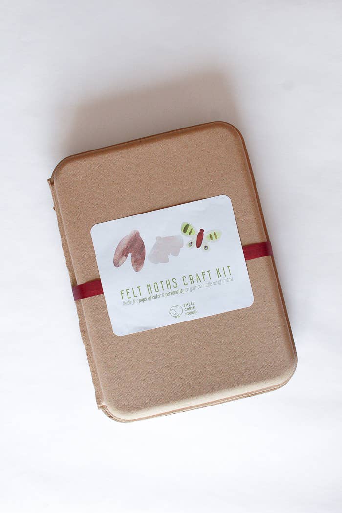 Moth Felting Craft Kit