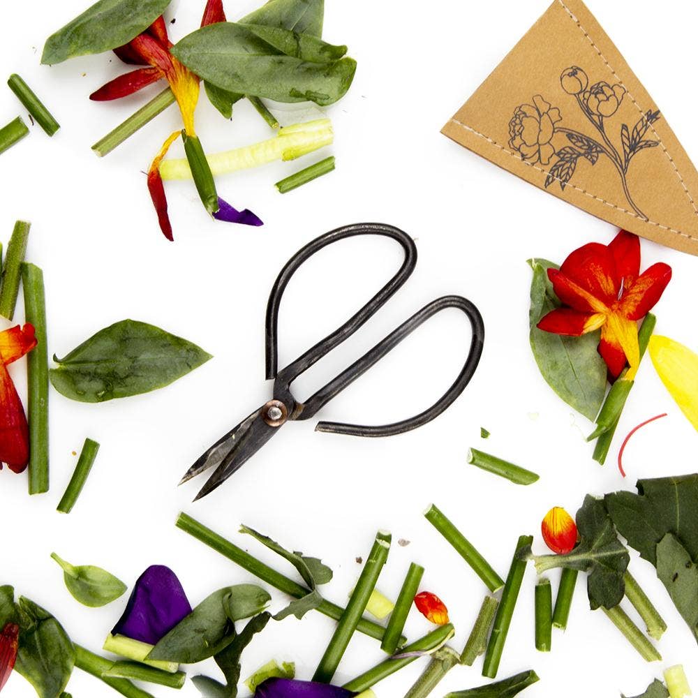 Edward Plant Scissors/ Gardening
Plant Accessories