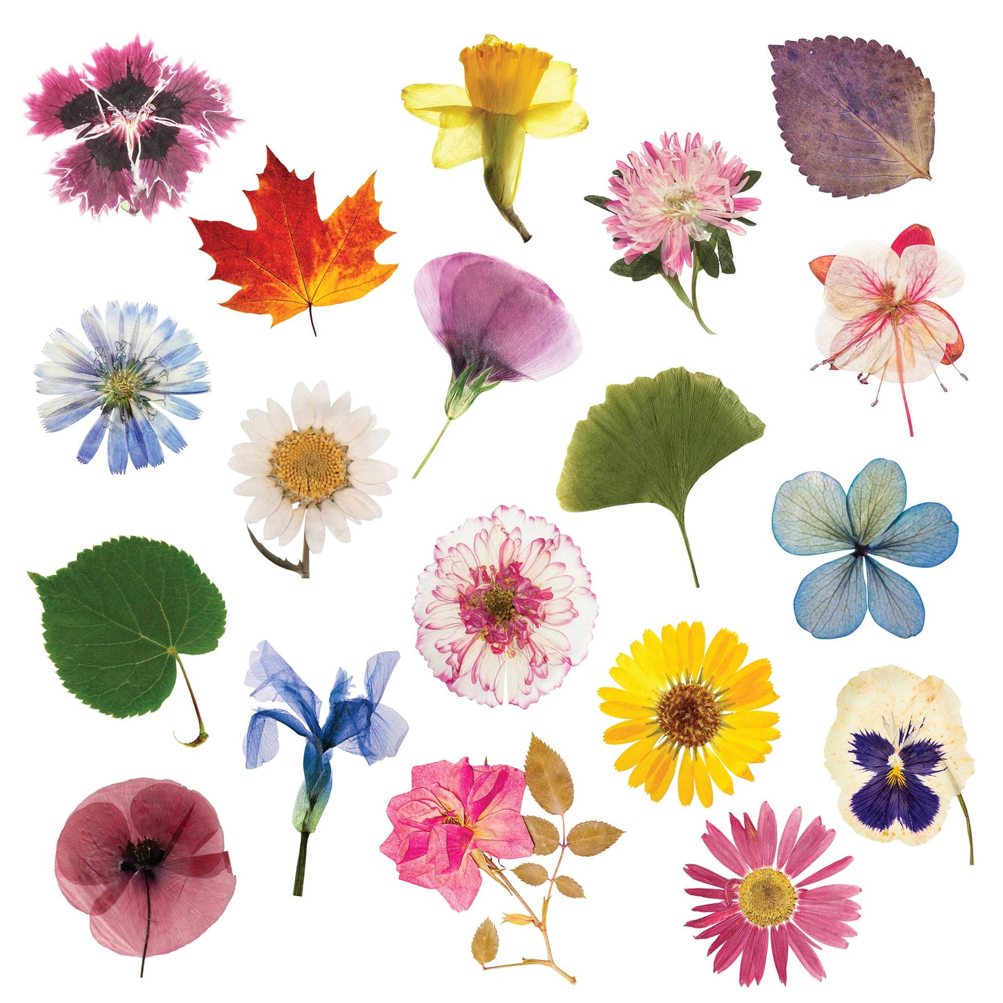 Flower Press - Simple & Effective DIY - Includes All Parts