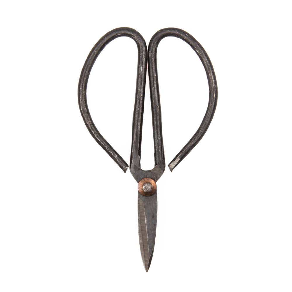 Edward Plant Scissors/ Gardening
Plant Accessories