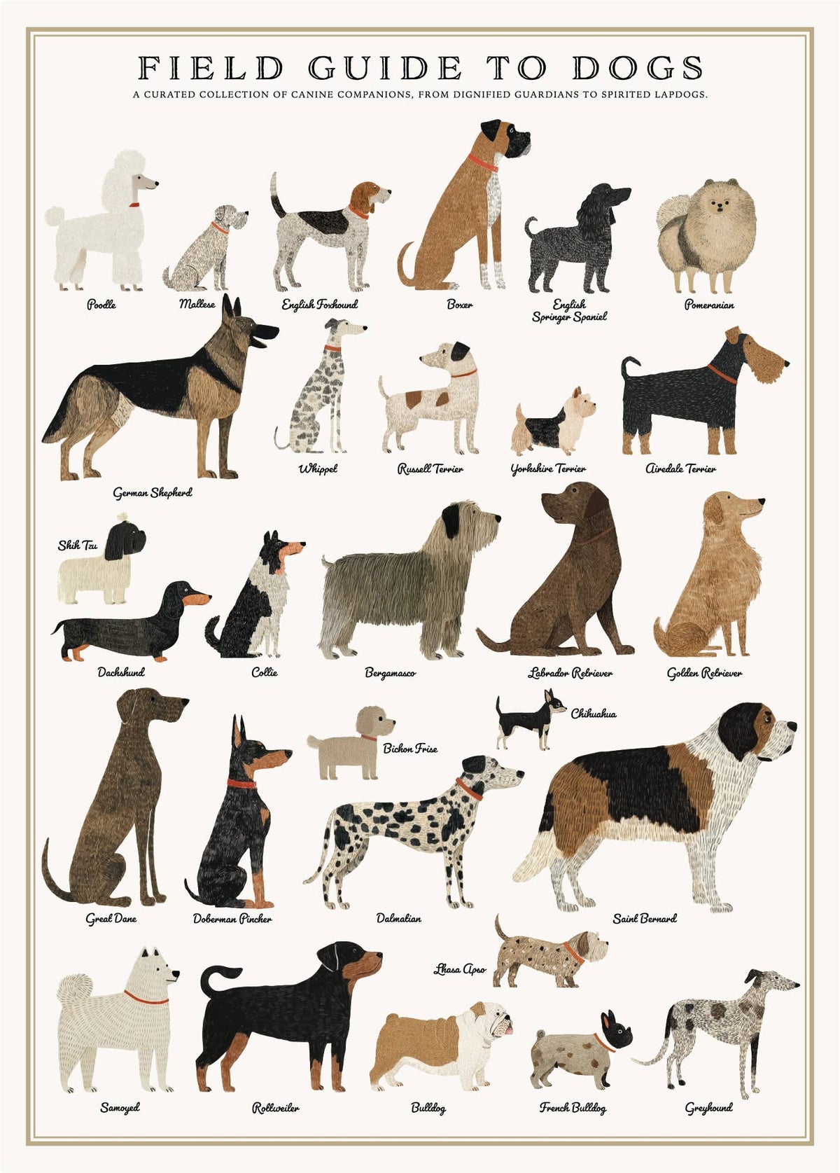 Vintage Posters Wrapping Paper - Dogs