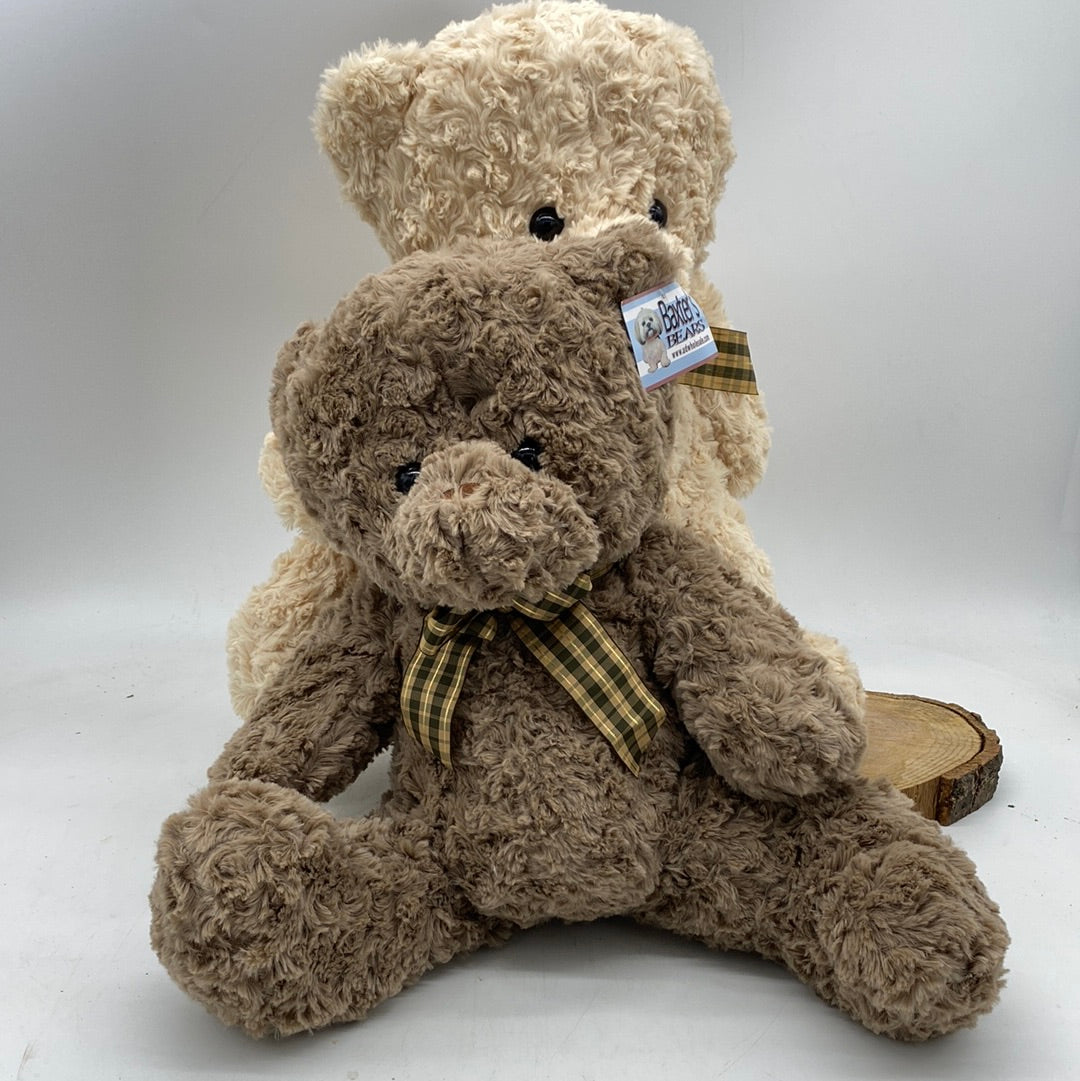 Baxter's Plush Bear