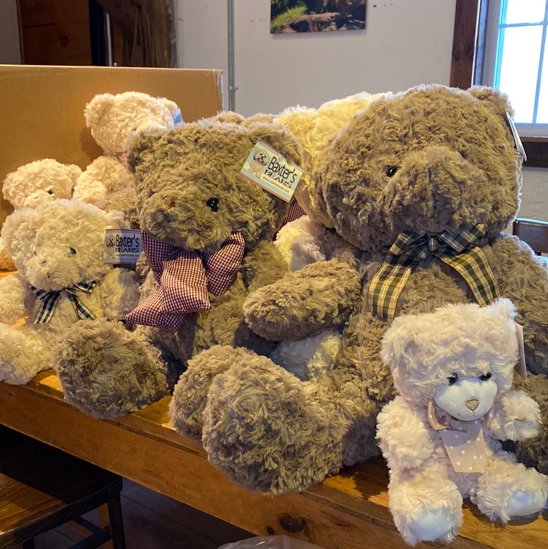 Baxter's Plush Bear