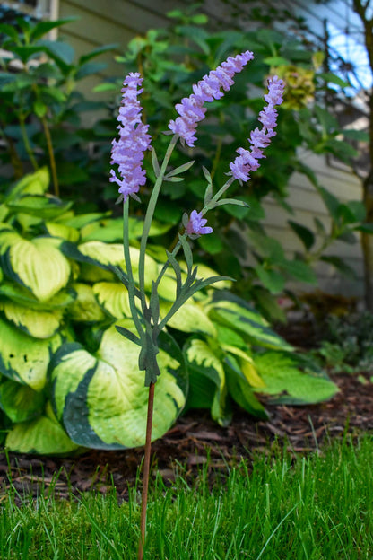 Lavender Pick -Painted