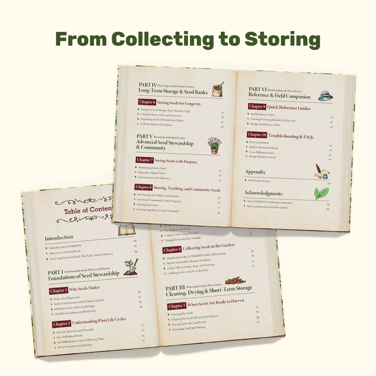 The Seed Collector's Handbook