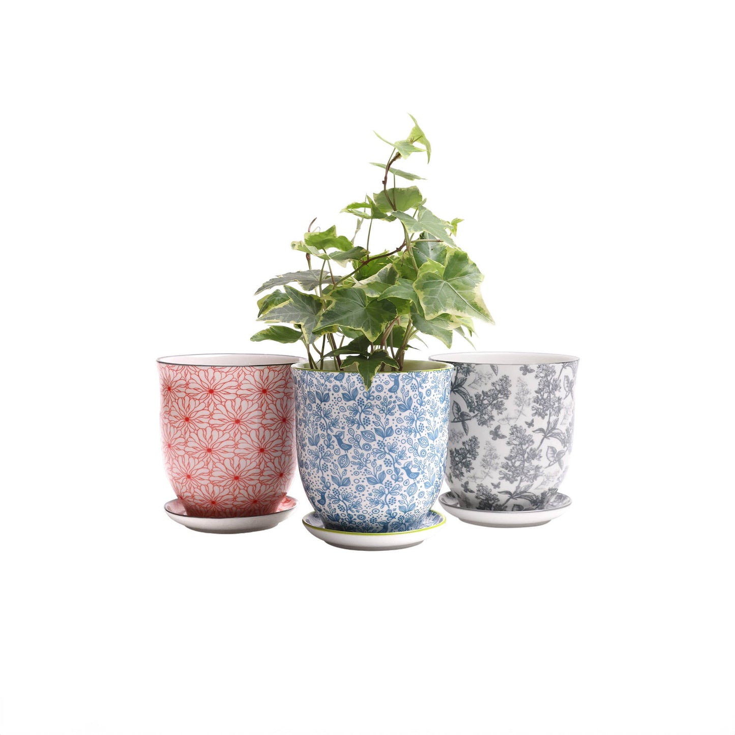Liberte  Indoor plant pots with drainage 3 & 5 inch planter