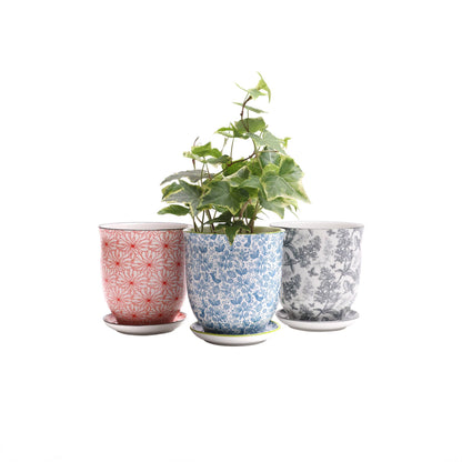 Liberte  Indoor plant pots with drainage 3 & 5 inch planter