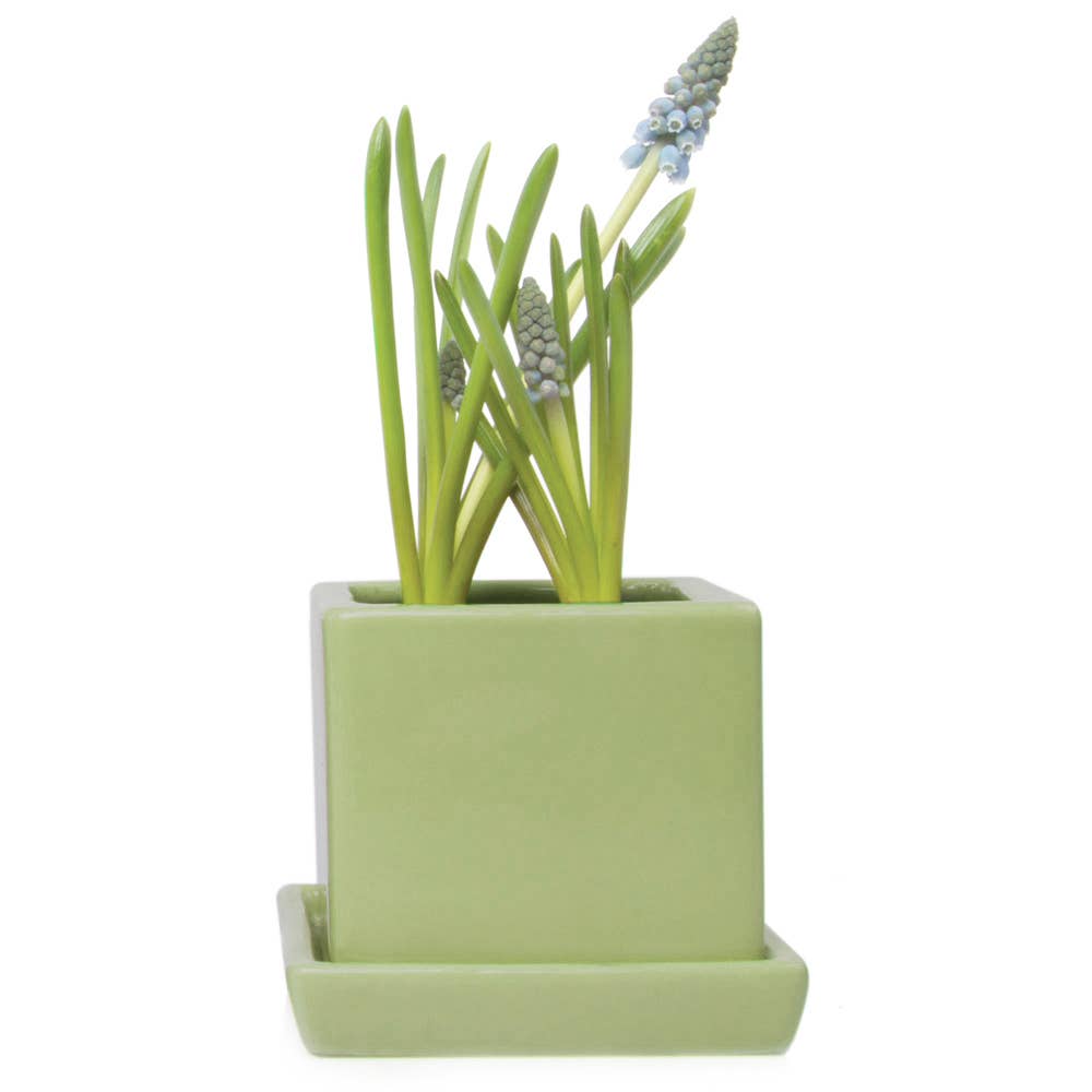Cube Pot With Saucer And Drainage Hole 60 Plus Colors