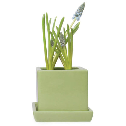 Cube Pot With Saucer And Drainage Hole 60 Plus Colors