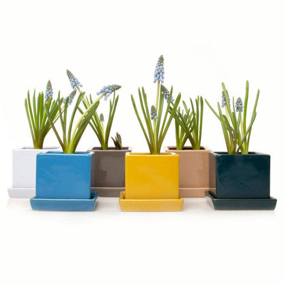 Cube Pot With Saucer And Drainage Hole 60 Plus Colors