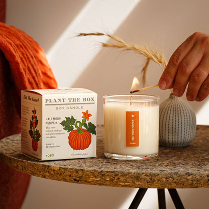 Half Moon Pumpkin - Plant the Box Candle - 9oz.