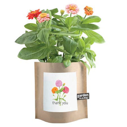 Garden in a Bag | Thank You | Best Seller