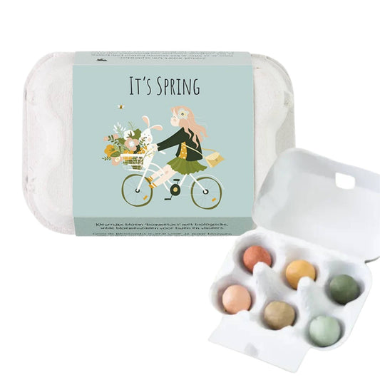 Egg Carton “It's Spring” – 6 Wildflower Seed Bombs Gift
