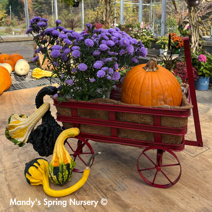 Wagon Planter