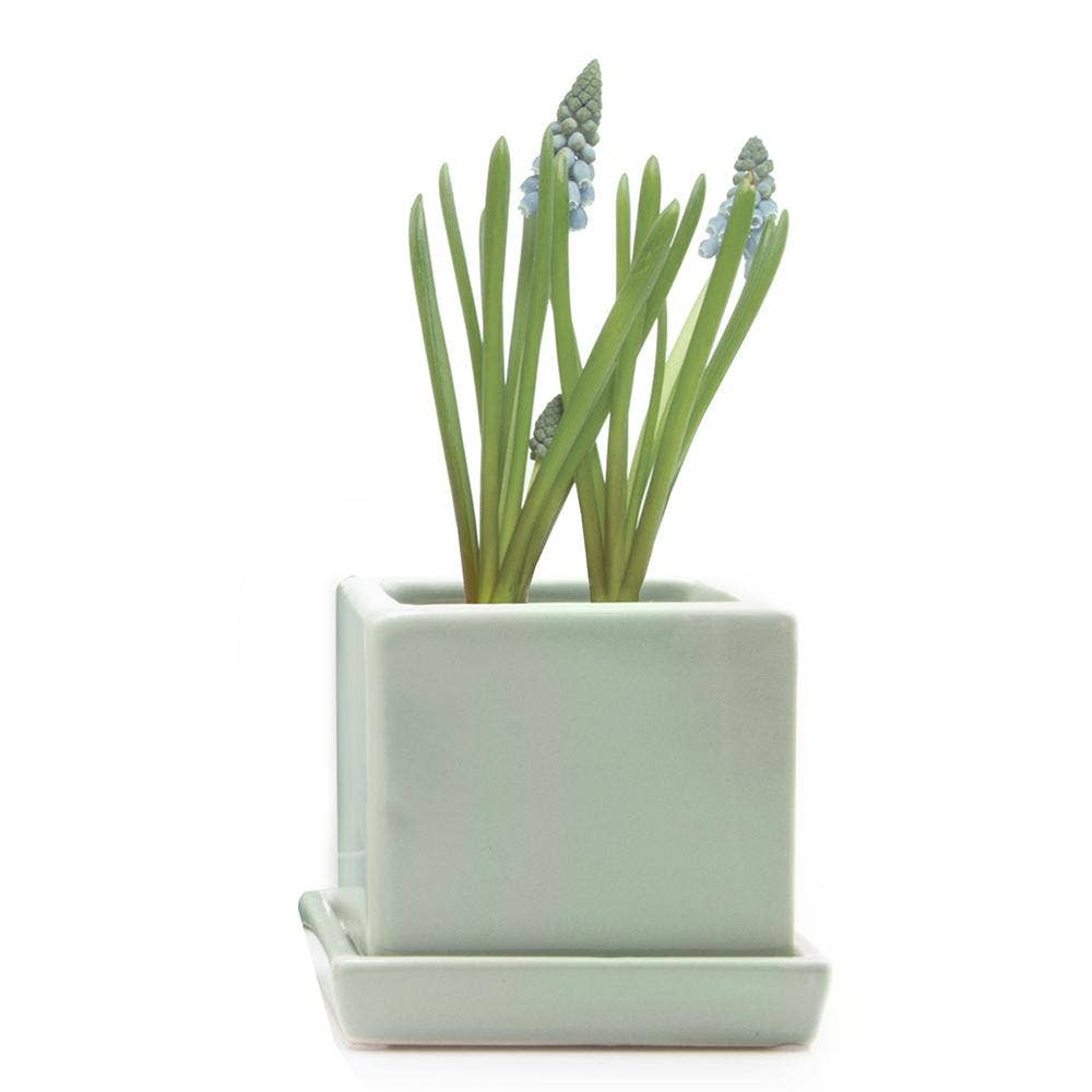 Cube Pot With Saucer And Drainage Hole 60 Plus Colors
