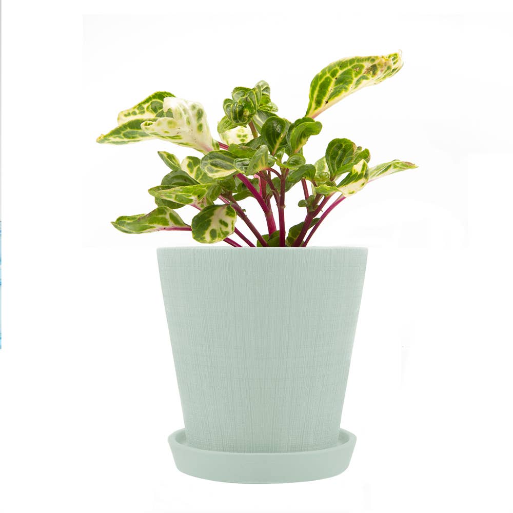 Mick Planter Pots With Drainage Holes Bulk SALE SALE