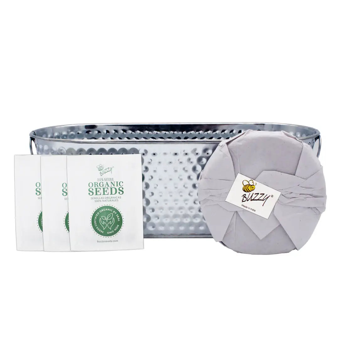 Grilling Herb Grow Kit | Organic Herbs | Window Planter