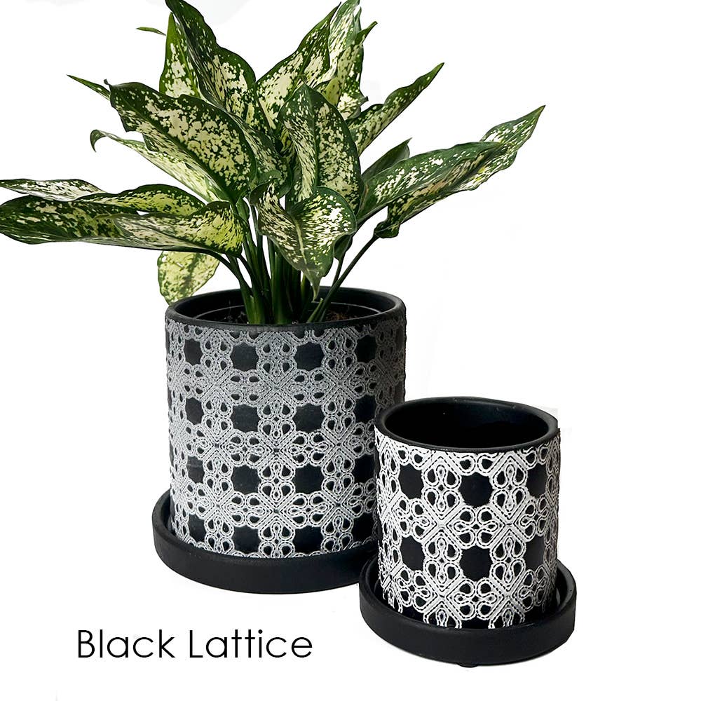 Balter Succulent Containers Cactus Pot And Saucer