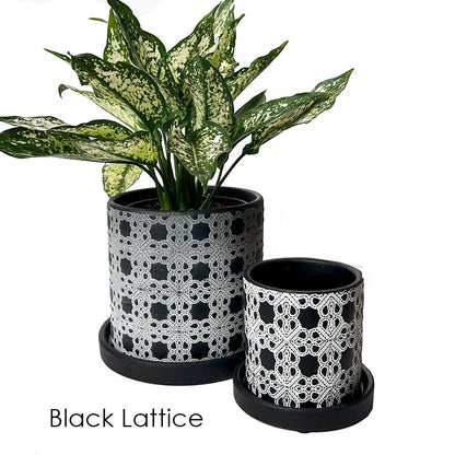 Balter Succulent Containers Cactus Pot And Saucer