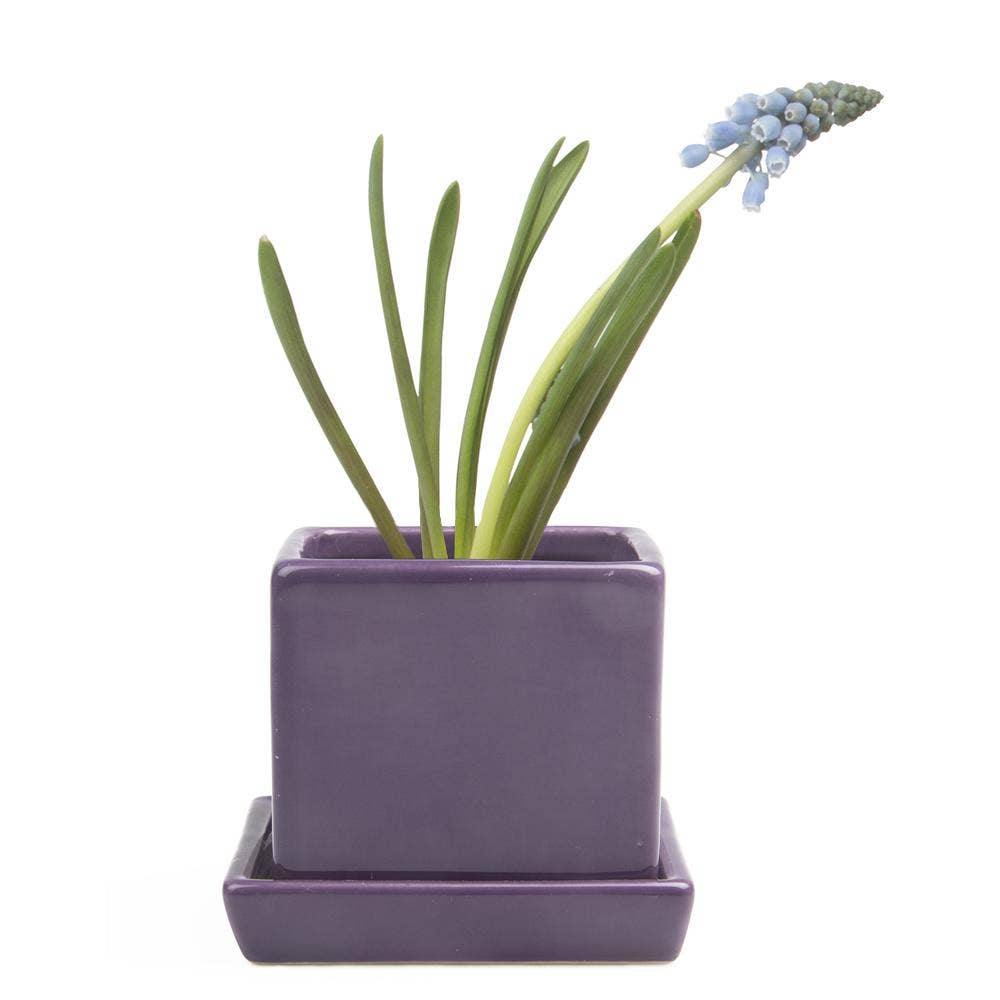 Cube Pot With Saucer And Drainage Hole 60 Plus Colors