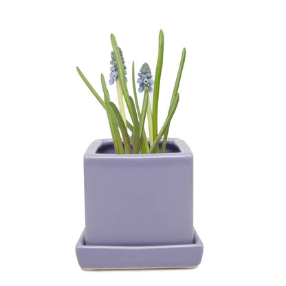 Cube Pot With Saucer And Drainage Hole 60 Plus Colors
