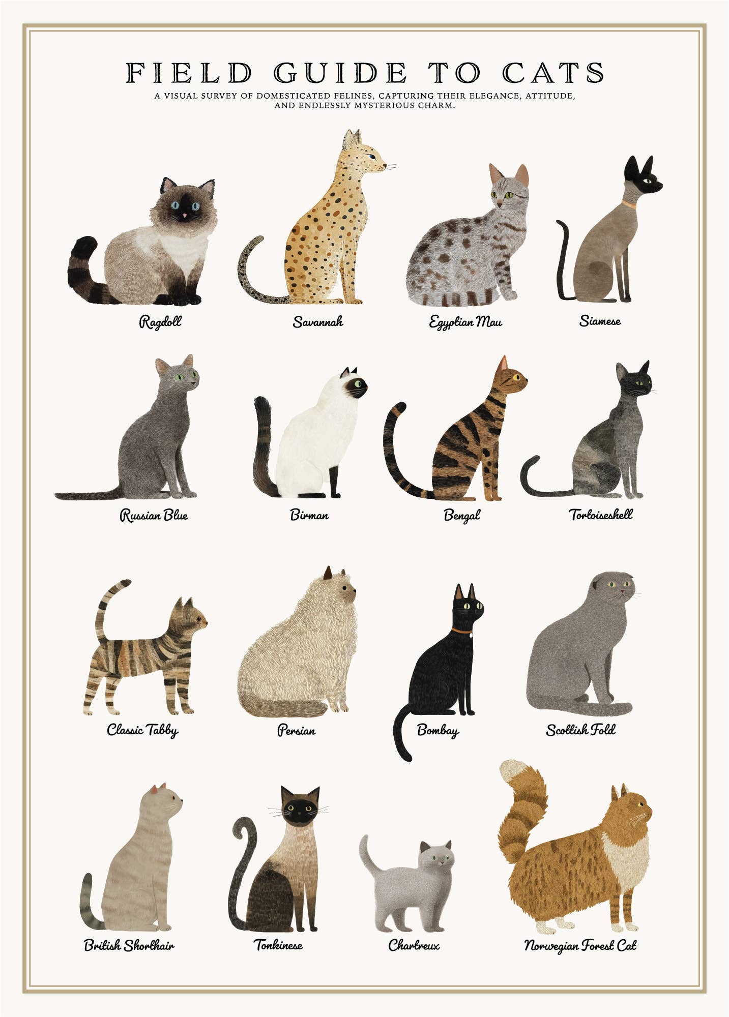 Cats Puzzle – 500 Pc Tube with Vintage Illustrations
