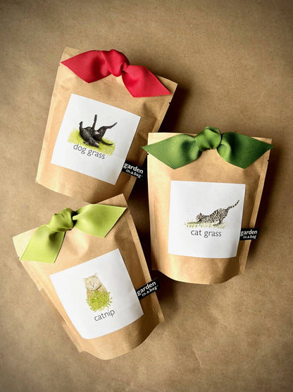 Garden in a Bag | Cat Grass | Spring Pet Treat Gift
