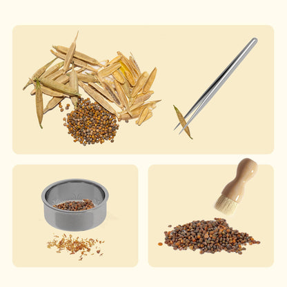 Seed Saving and Collecting Kit (Tools+Handbook)