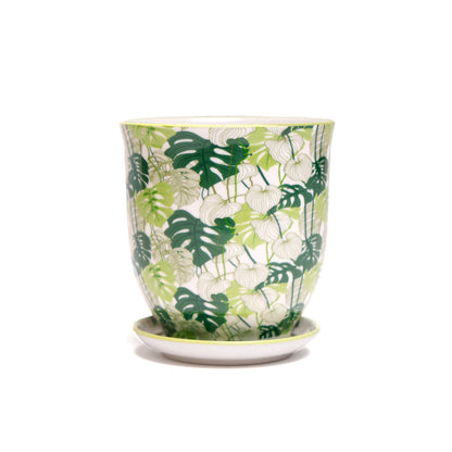 Liberte  Indoor plant pots with drainage 3 & 5 inch planter