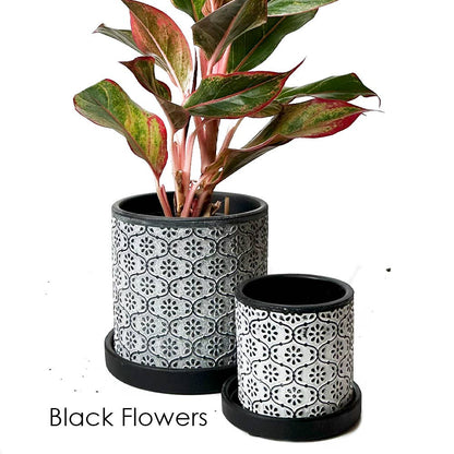 Balter Succulent Containers Cactus Pot And Saucer