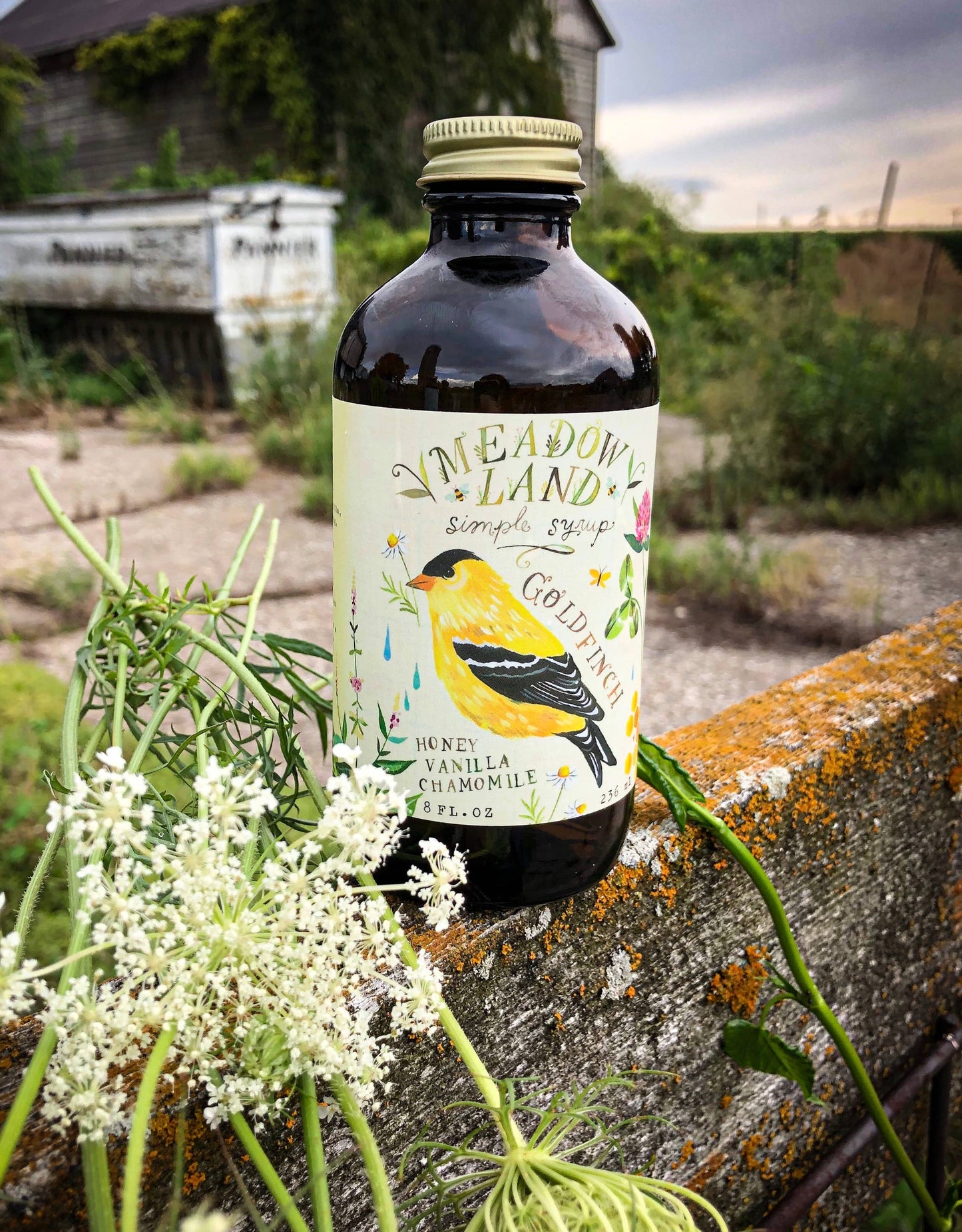 Goldfinch Simple Syrup