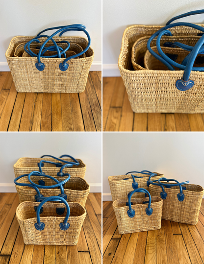 Water Reed with Light Blue Handles