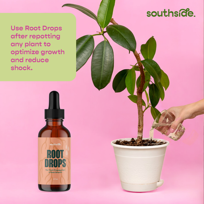 Root Drops - For Propagations & Repotting